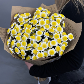 Букет "Моё солнышко" из 11 хризантем сантини  в Долгопрудном