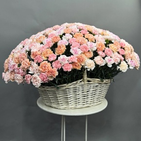 Композиция в корзине из 251 диантуса микс в Долгопрудном