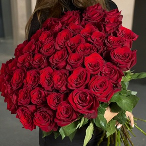 Букет 51 роза Эквадор Эксплорер (70 см) в Долгопрудном