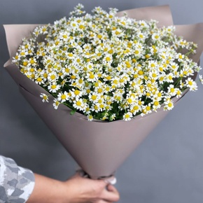 Букет из 17 ромашек танацетум в Долгопрудном
