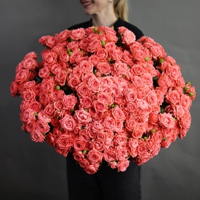 Букет из 39 коралловых кустовых роз (50 см) в Долгопрудном