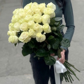 Монобукет из 25 роз Эквадор Мондиаль (80 см) в Долгопрудном