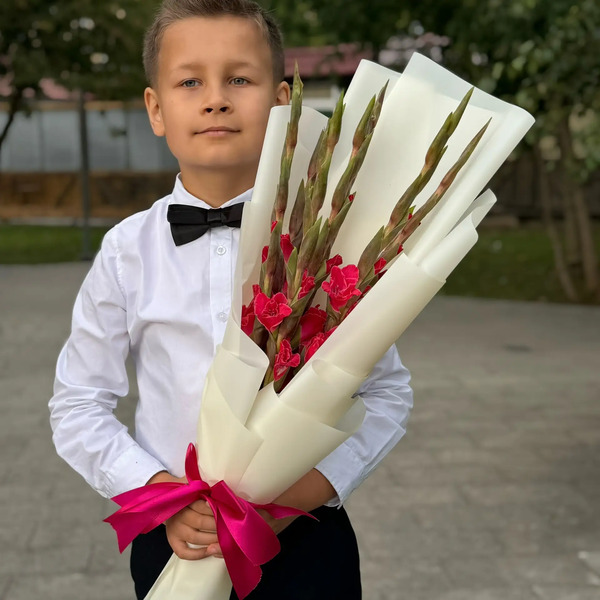 Букет на 1 сентября из 7 малиновых гладиолусов в Долгопрудном
