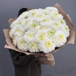 Букет из 27 хризантем Магнум в Долгопрудном