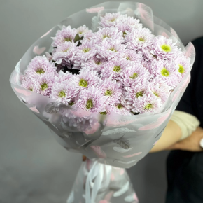 Букет "Нежный комплимент" из 9 кустовых хризантем в Долгопрудном