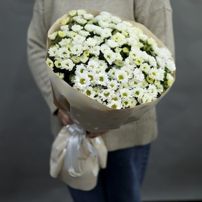 Букет "Милая моя" из 17 хризантем сантини в Долгопрудном