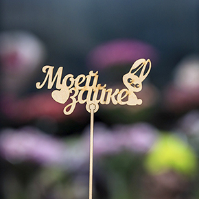 Топпер моей зайке в Долгопрудном