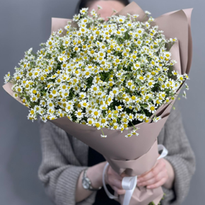 Букет из 17 полевых ромашек в Долгопрудном