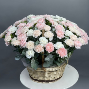 Композиция в корзине из 101 диантуса микс в Долгопрудном