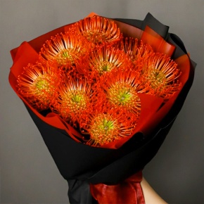 Букет из 9 лейко в Долгопрудном