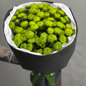 Стильный букет "Лайм" из 15 хризантем сантини в Долгопрудном