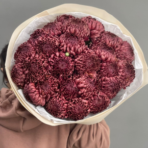 Букет 21 шоколадной хризантемы Бигоуди в Долгопрудном