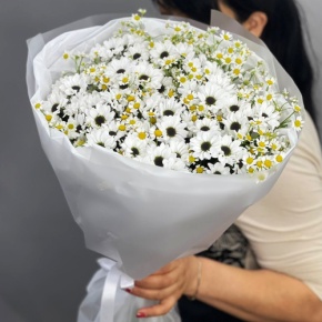 Букет "Понарошку" из хризантем сантини и ромашек в Долгопрудном