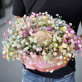 Композиция в коробке сердца из радужных гипсофил с топпером в Долгопрудном