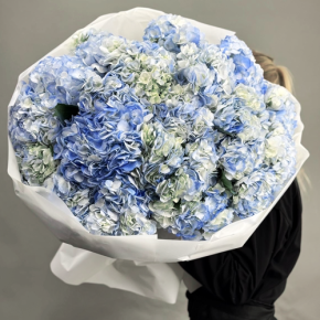 Букет из 23 синих гортензий в Долгопрудном