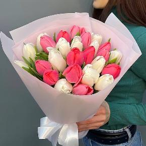 Букет из 25 кораллово-белых тюльпанов в Долгопрудном
