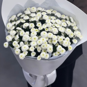 Букет "Белая дымка" из 25 хризантем сантини в Долгопрудном