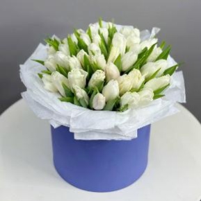 Букет из 49 белых тюльпанов в синей коробке в Долгопрудном