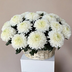 Композиция в корзине из 25 хризантем Магнум в Долгопрудном
