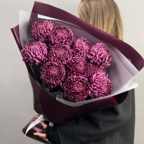 Букет "Изобилие" из 11 винных хризантем Бигоуди в Долгопрудном