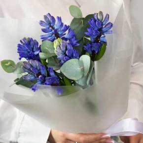 Букет "Мини" из 5 ароматных гиацинтов и эвкалипта в Долгопрудном