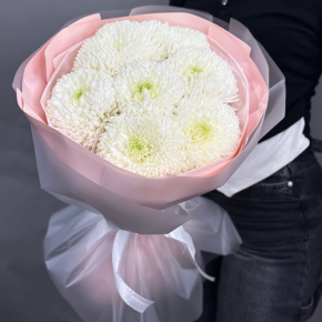 Нежный букет из 7 хризантем Магнум в Долгопрудном