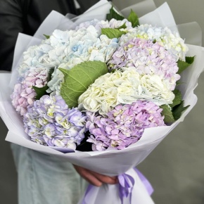 Букет из 9 Голландских гортензий микс в Долгопрудном