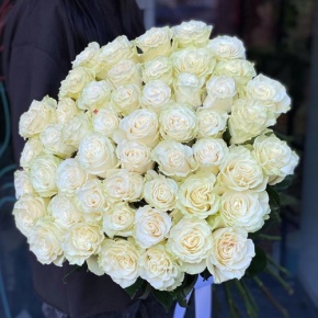 Букет из 51 розы Эквадор Мондиаль под ленту (80 см) в Долгопрудном