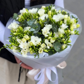 Букет из 51 белой фрезии в Долгопрудном