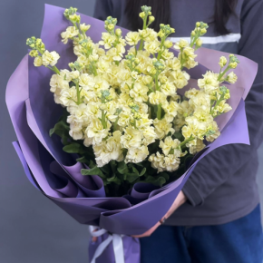 Букет из 15 лимонных маттиол в Долгопрудном