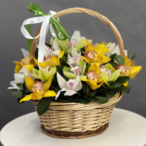 Композиция в корзине из 25 орхидей микс в Долгопрудном