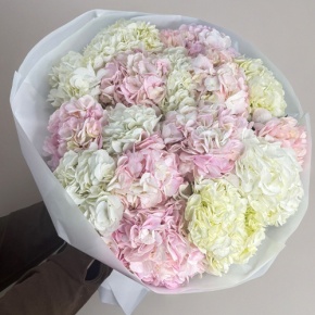 Букет из 17 нежных гортензий в Долгопрудном