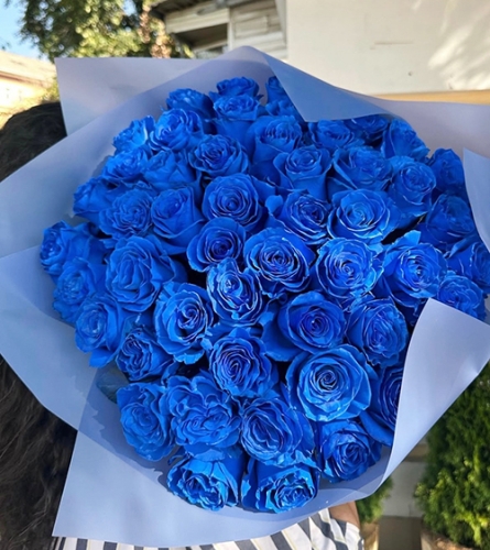 Букет из 51 синей розы Эквадор (60 см) в Долгопрудном