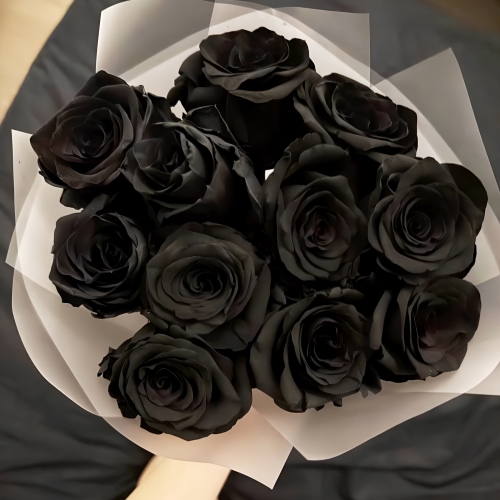 Букет "Черная королева" из 11 черных роз Эквадор (60 см) в Долгопрудном