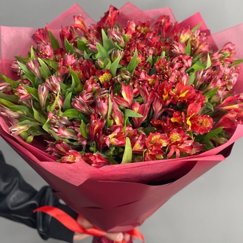 Монобукет из 25 красных альстромерий в Долгопрудном