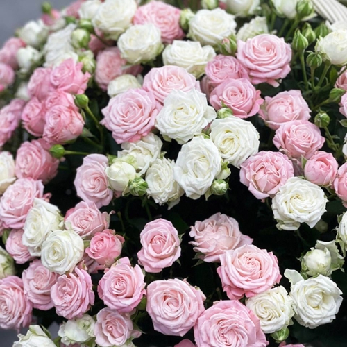 Композиция в корзине из 101 кустовой пионовидной розы в Долгопрудном