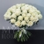 Букет 75 белых роз Эквадор Мондиаль (80 см) в Долгопрудном Букет 75 белых роз Эквадор Мондиаль (80 см) в Долгопрудном