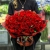 Букет 101 красная Кенийская роза (40 см) в Долгопрудном
