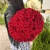 Букет 51 красной розы 50 см в Долгопрудном