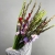 Букет из 25 гладиолусов микс в Долгопрудном