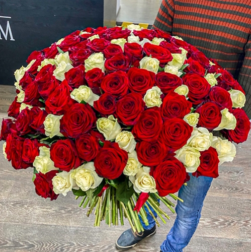 Букет 151 роза красный и белый микс (60 см) в Долгопрудном
