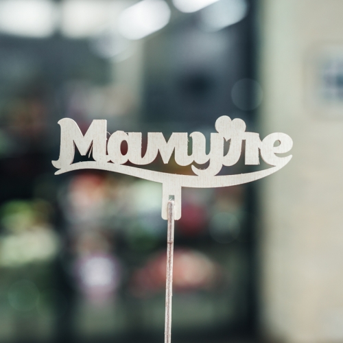 Топпер Мамуле в Долгопрудном