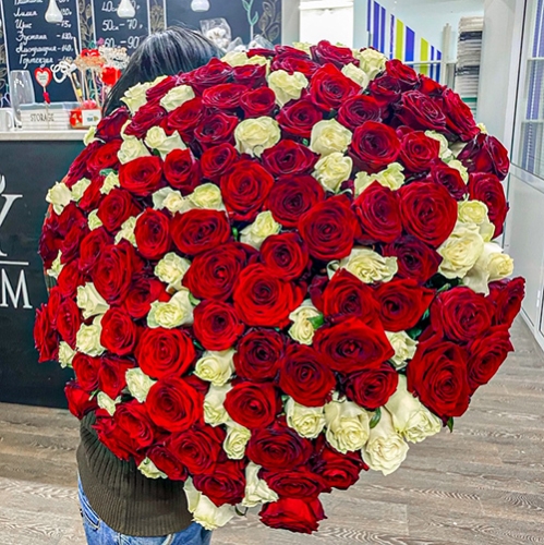 Букет 151 роза красный и белый микс (60 см) в Долгопрудном