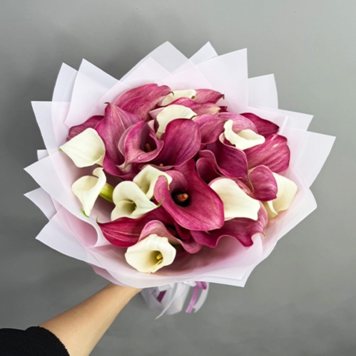 Букет из 25 нежных калл в Долгопрудном