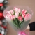 Букет "Фламинго" из 11 пионовидных тюльпанов в Долгопрудном