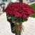 Букет из 101 красной розы (90 см) в Долгопрудном