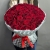 Букет 75 красных роз (50 см) в Долгопрудном Букет 75 красных роз (50 см) в Долгопрудном