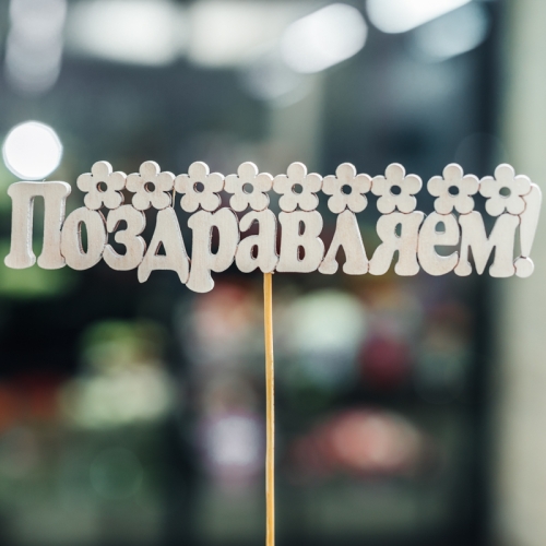 Топпер Поздравляем в Долгопрудном
