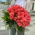Букет 51 роза коралл (60 см) в Долгопрудном