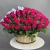 Композиция в корзине из 151 малиновой розы в Долгопрудном